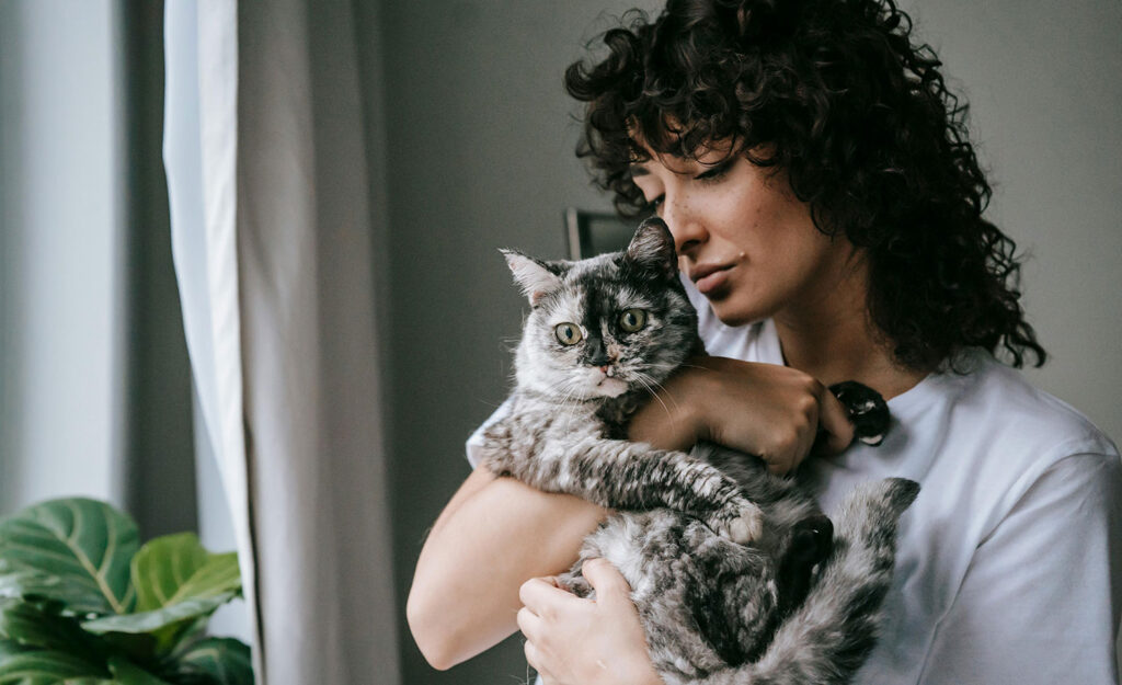 A highly sensitive introvert cuddles with her cat