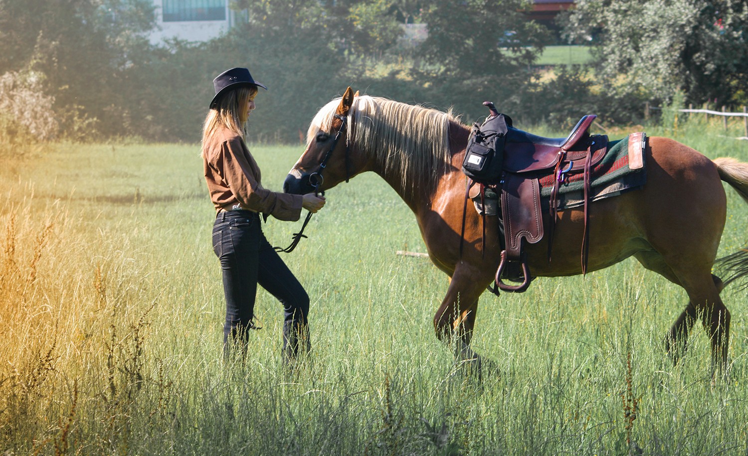 An introverts talks to her horse