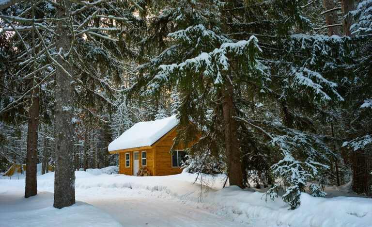 A cabin in the middle of the woods.