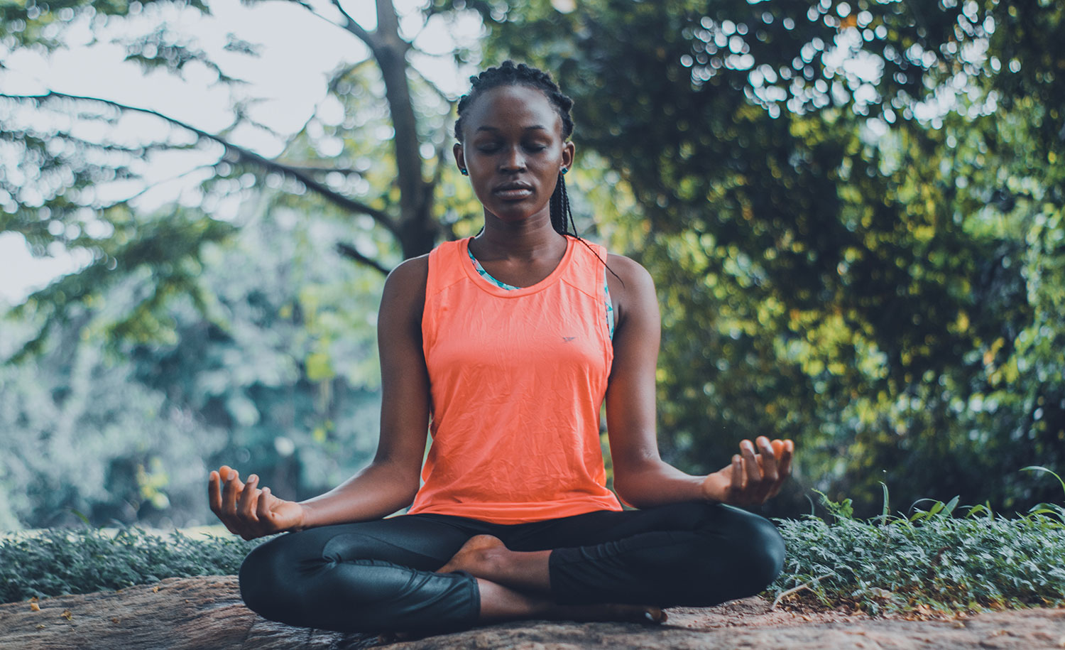 A daydreaming introvert meditates