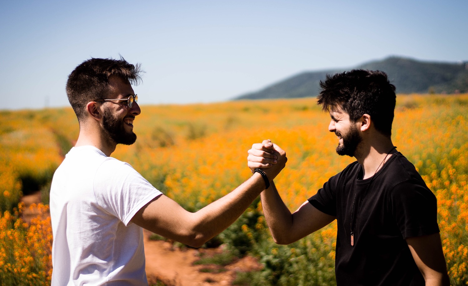 INFJ vs INTJ personality