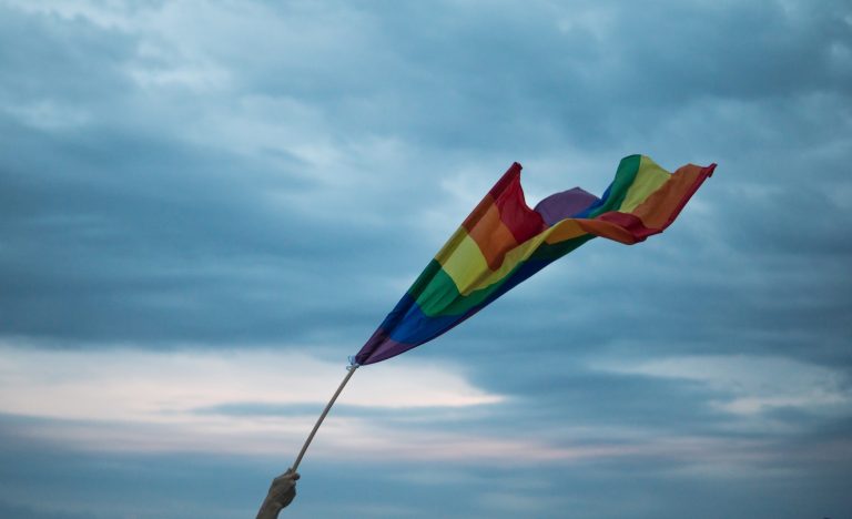 a gay pride flag representing an introvert and INTJ coming out