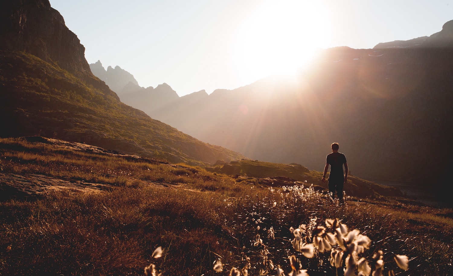 IntrovertDear.com alone time science