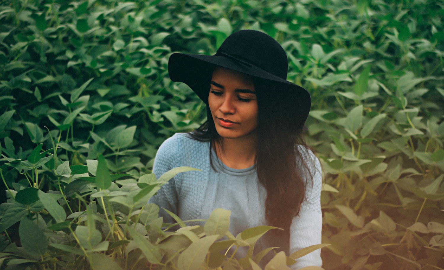 IntrovertDear.com signs highly sensitive person