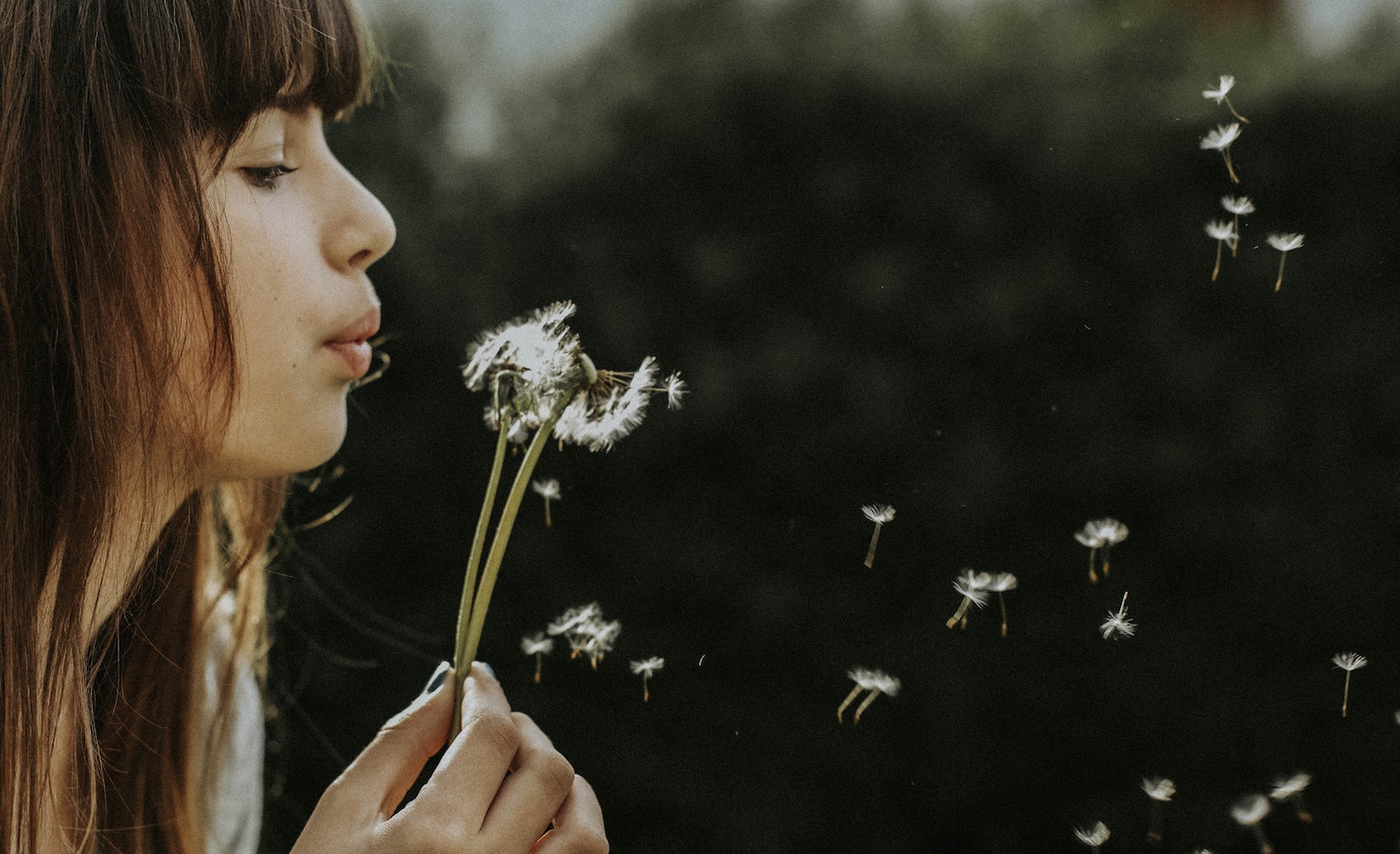 IntrovertDear.com signs INFP personality type