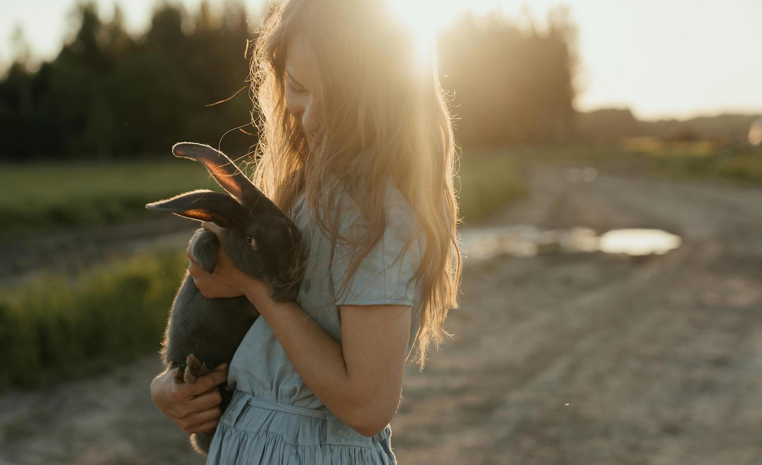 an introvert loses a pet