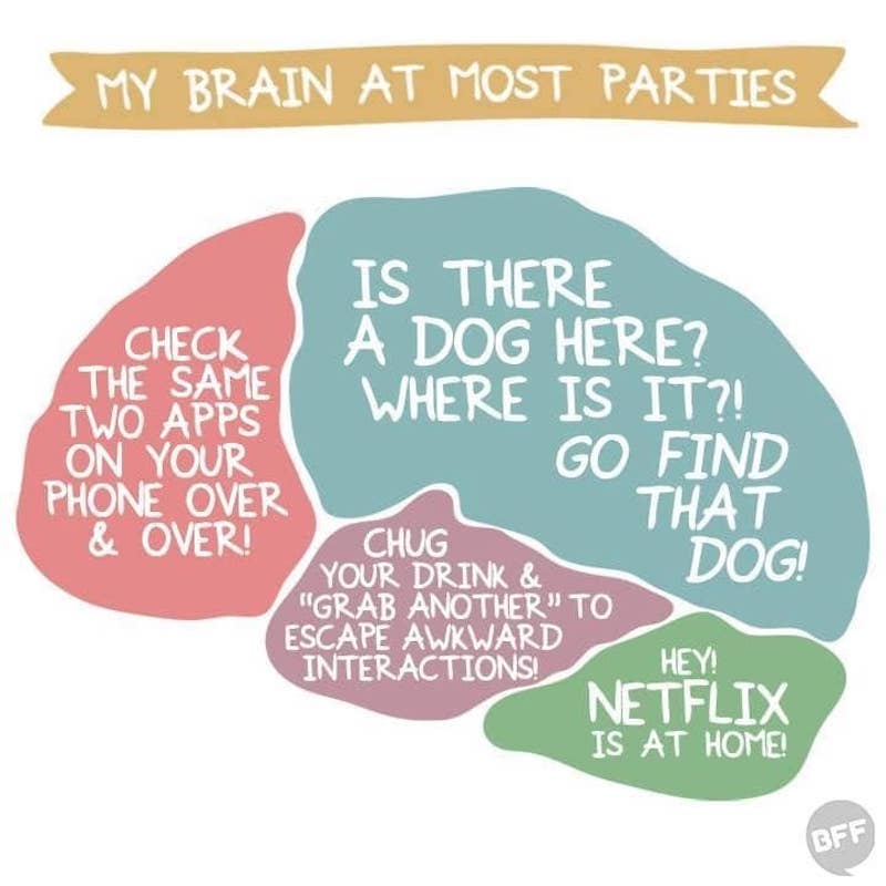 my brain at most parties meme