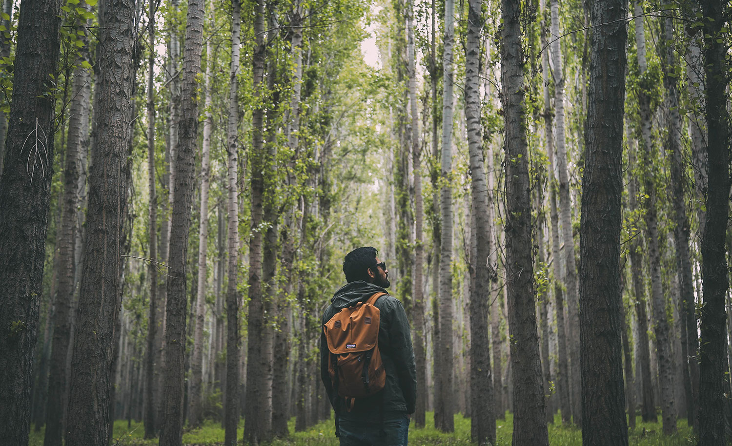 An introvert hiking