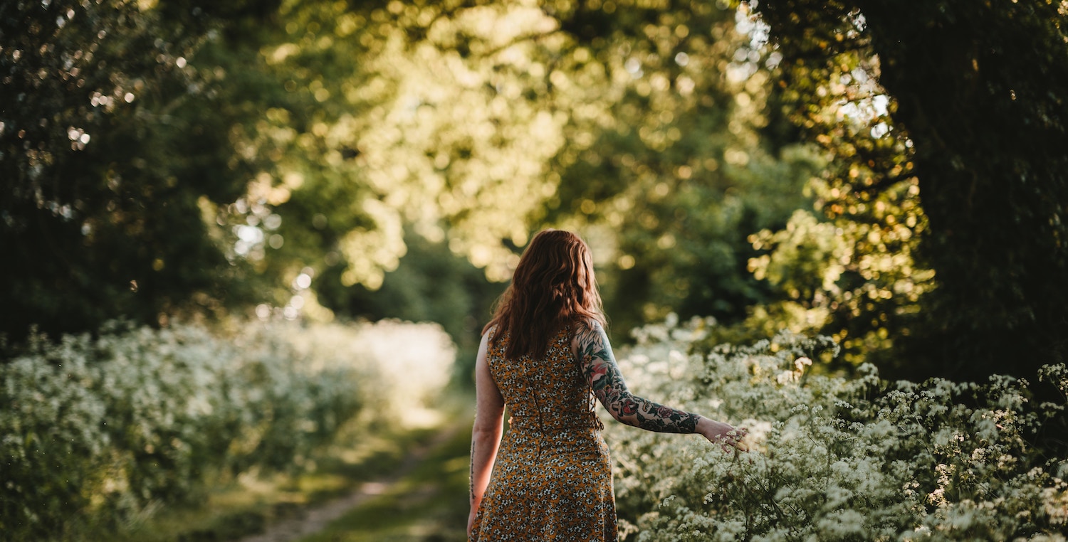 what is an Introvert introvert definition and meaning