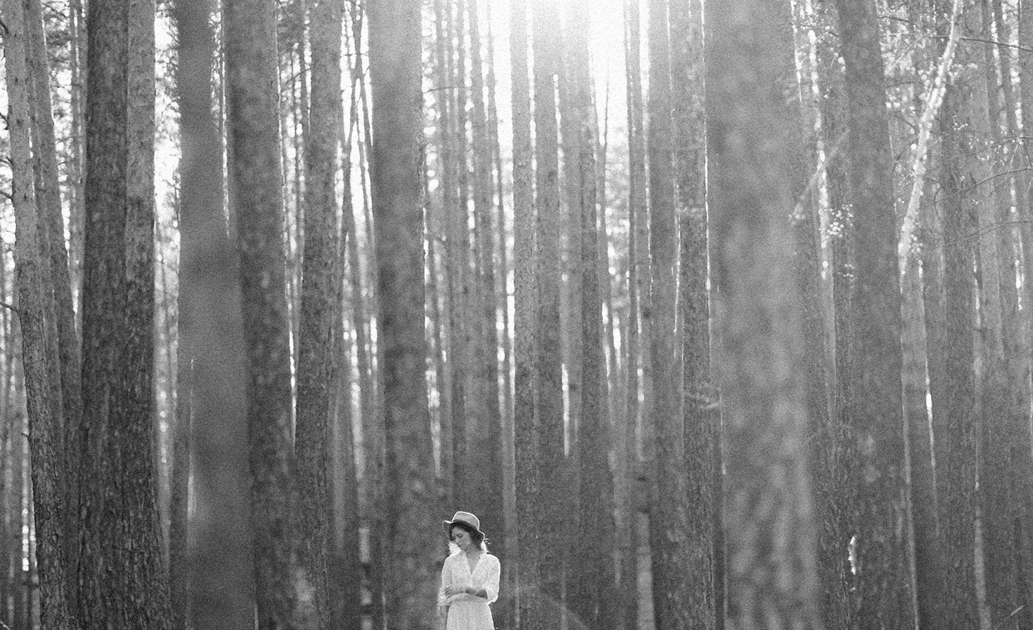 A highly sensitive person in the forest