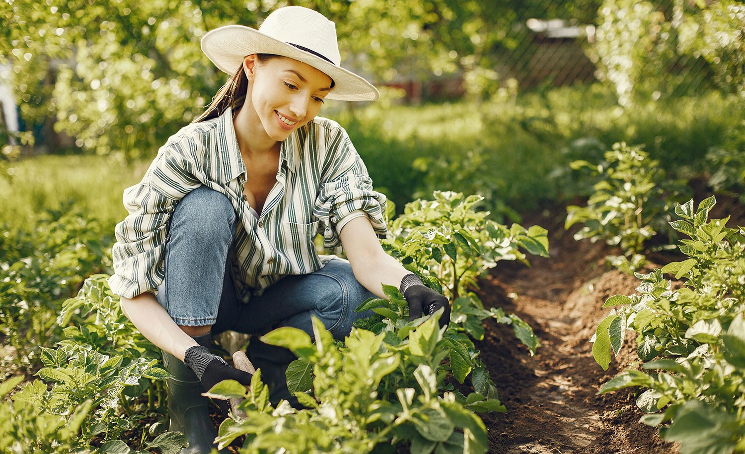 An introvert tends to her garden