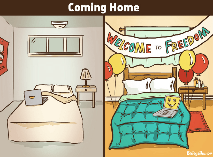 introvert coming home meme